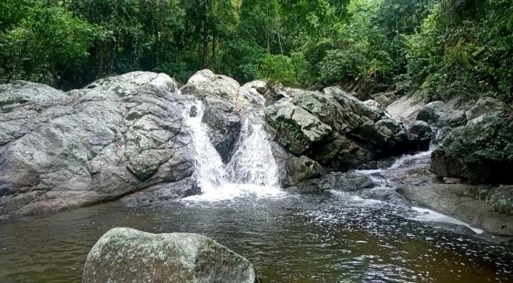 Las Mananitas De La Sierra 埃尔扎伊诺 外观 照片