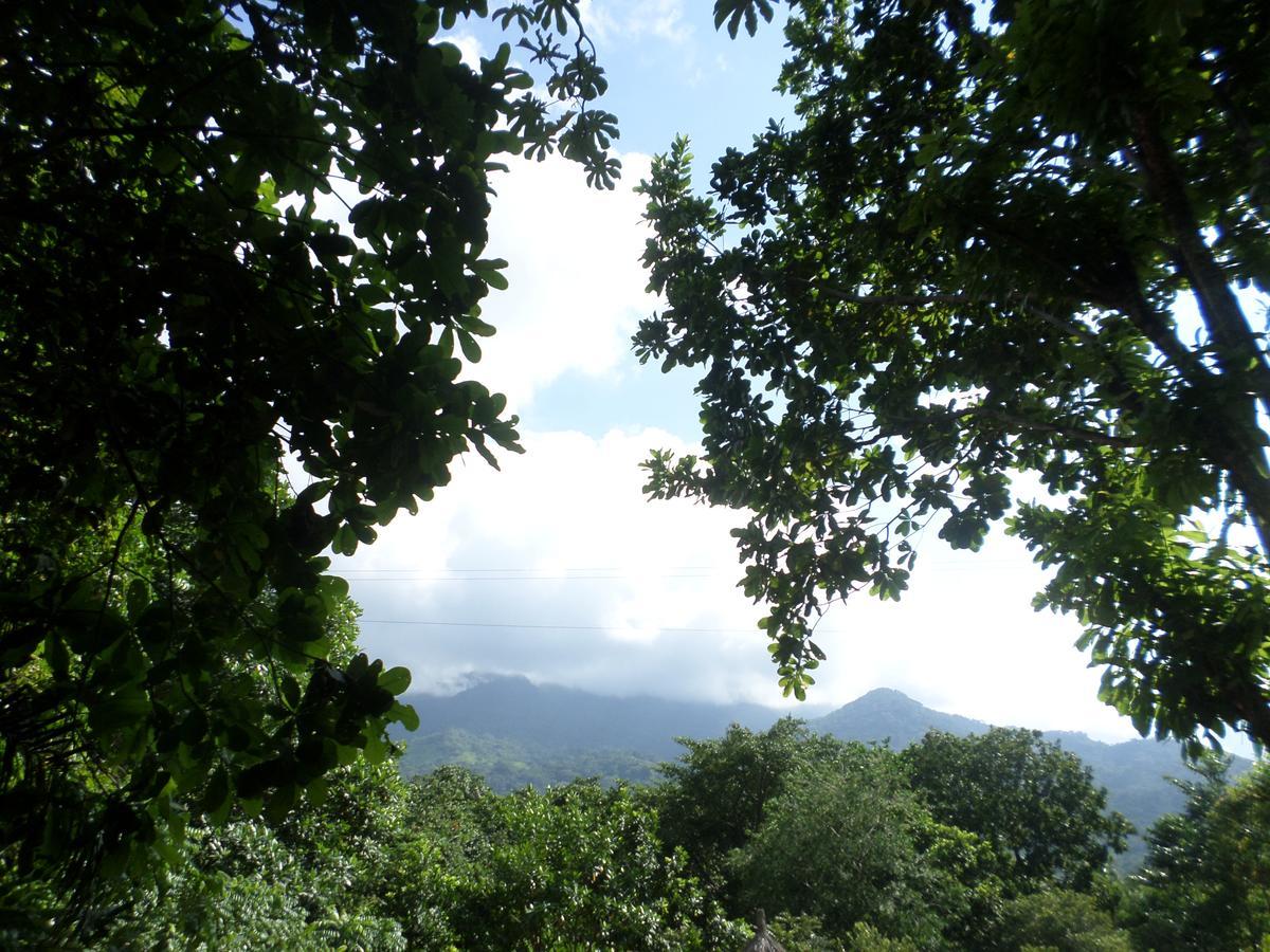 Las Mananitas De La Sierra 埃尔扎伊诺 外观 照片