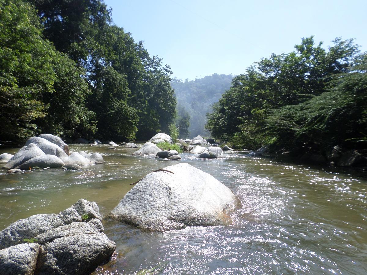 Las Mananitas De La Sierra 埃尔扎伊诺 外观 照片